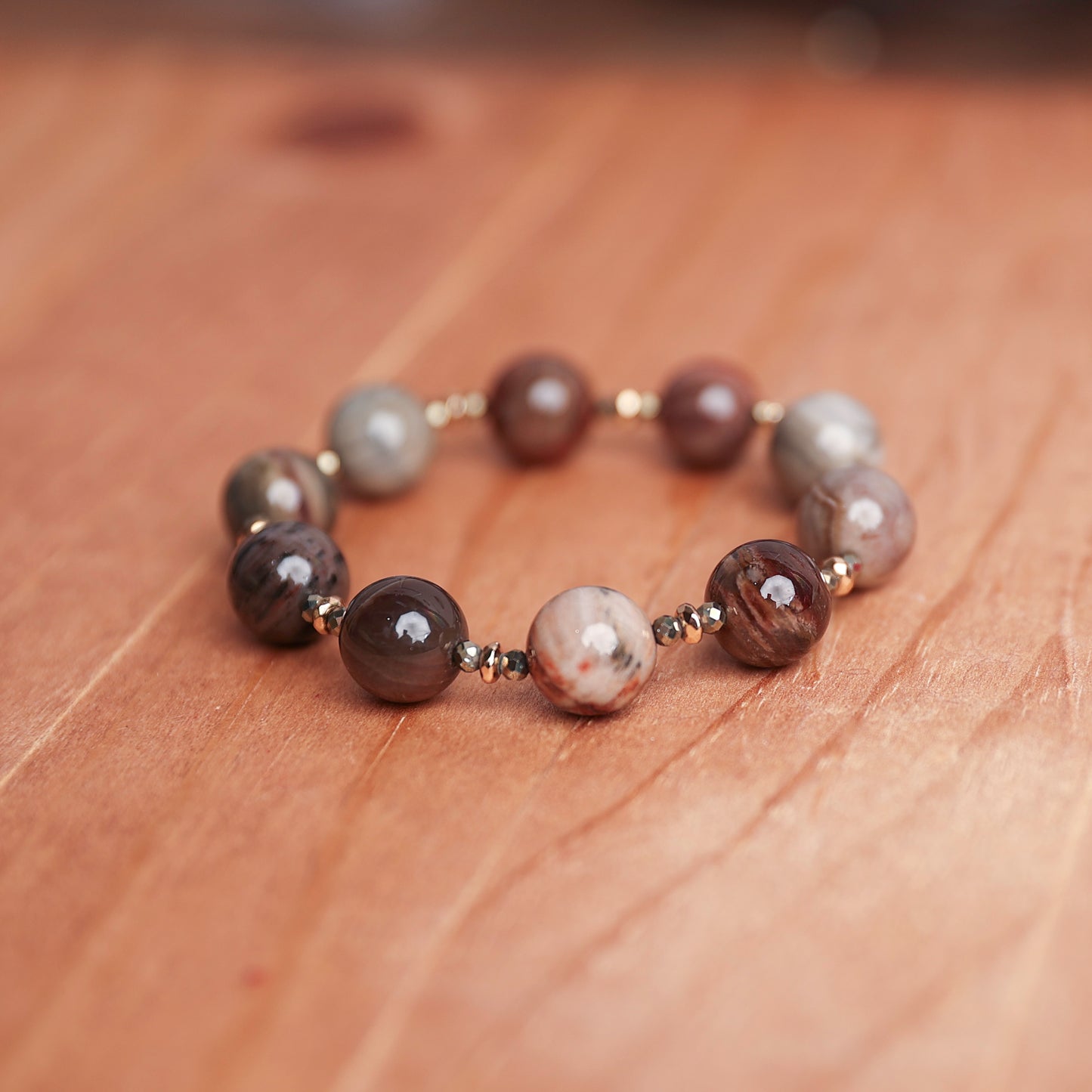 Pyrite, Hematite spacers and Petrified Wood